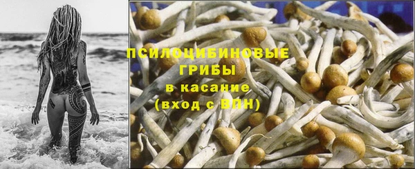 винт Наволоки