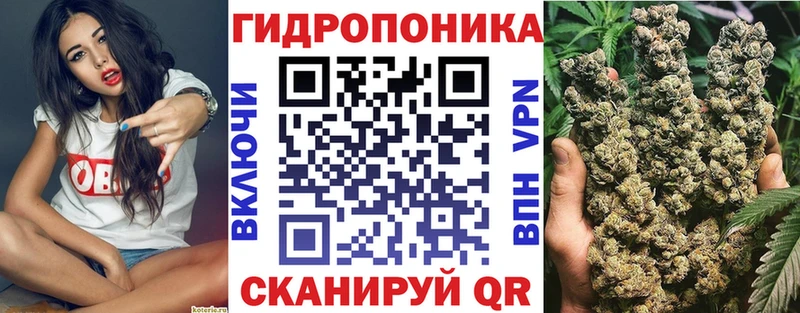 Канабис план где продают наркотики Сусуман